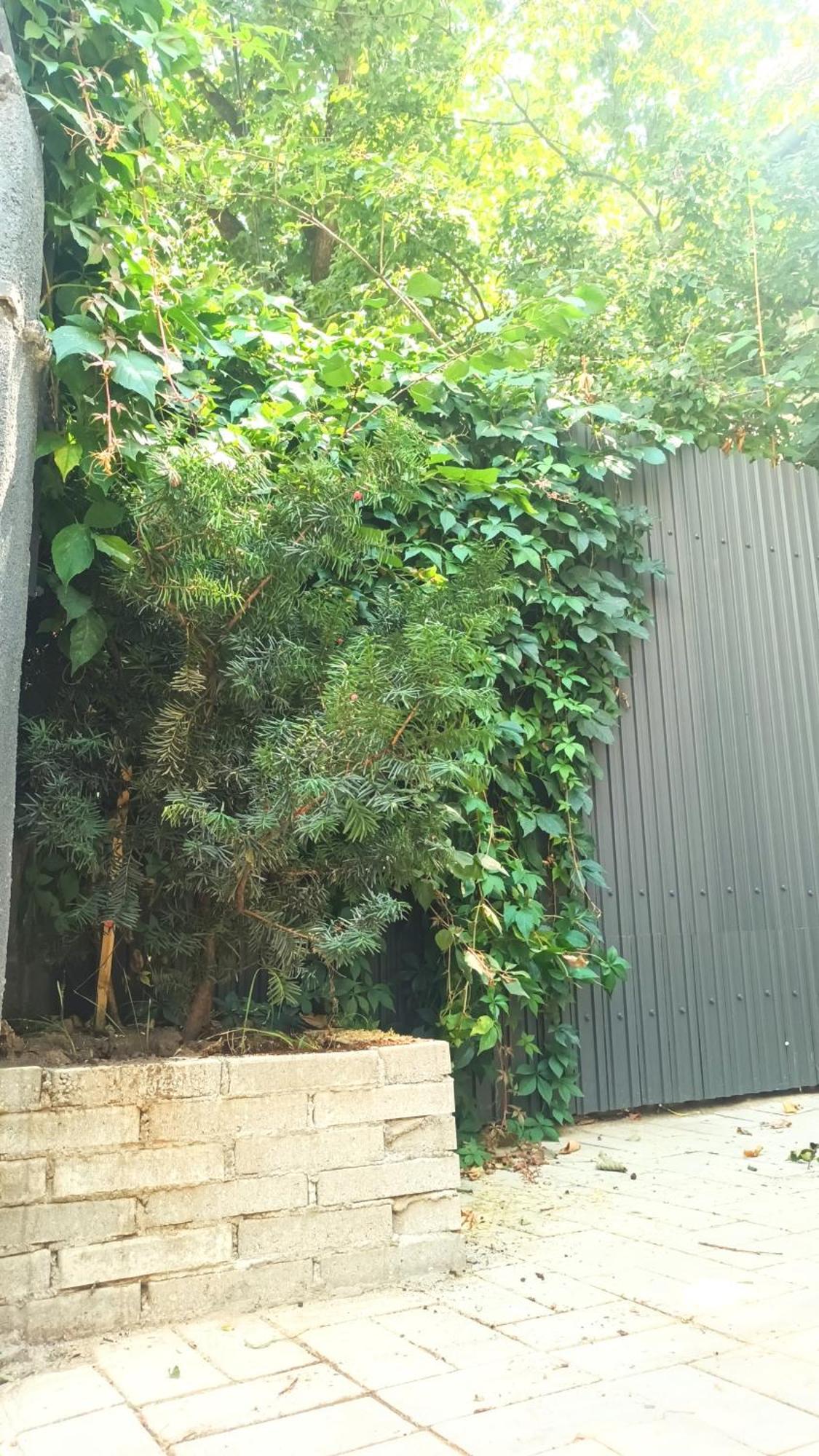 Littlehouse- Entire Property For Maximum 4 People Bucureşti Exterior foto